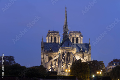 The cathedral Notre Dame at night   Paris  France.