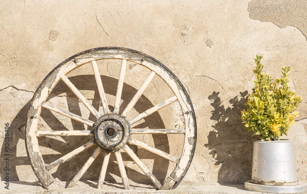wheel of an old chariot and a green plant used for decoration
