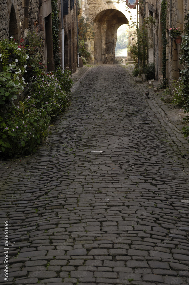 Fototapeta premium street of Cordes sur Ciel, Tarn, France