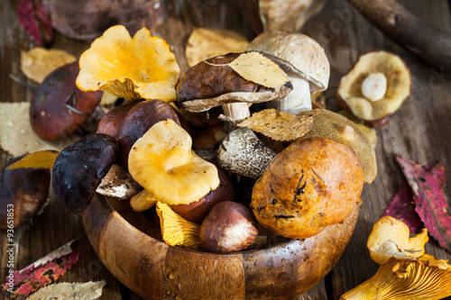 Mix of autumn wild forest edible mushrooms © kate_smirnova