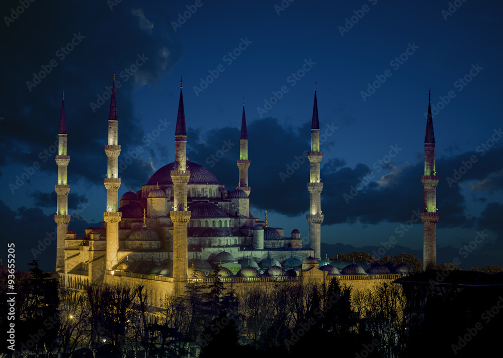Fototapeta premium The Blue Mosque (Sultanahmet Mosque) in Istanbul Turkey