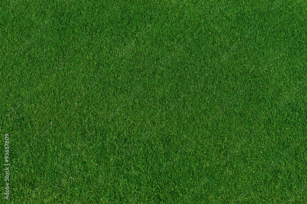 Naklejka prawdziwe zielone tło trawy