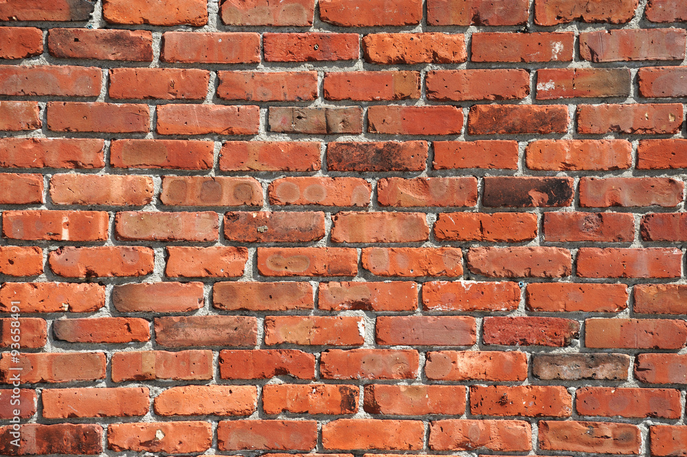 Obraz premium brick wall