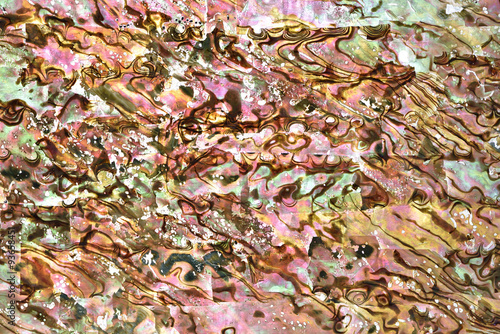 Shell plate texture on light