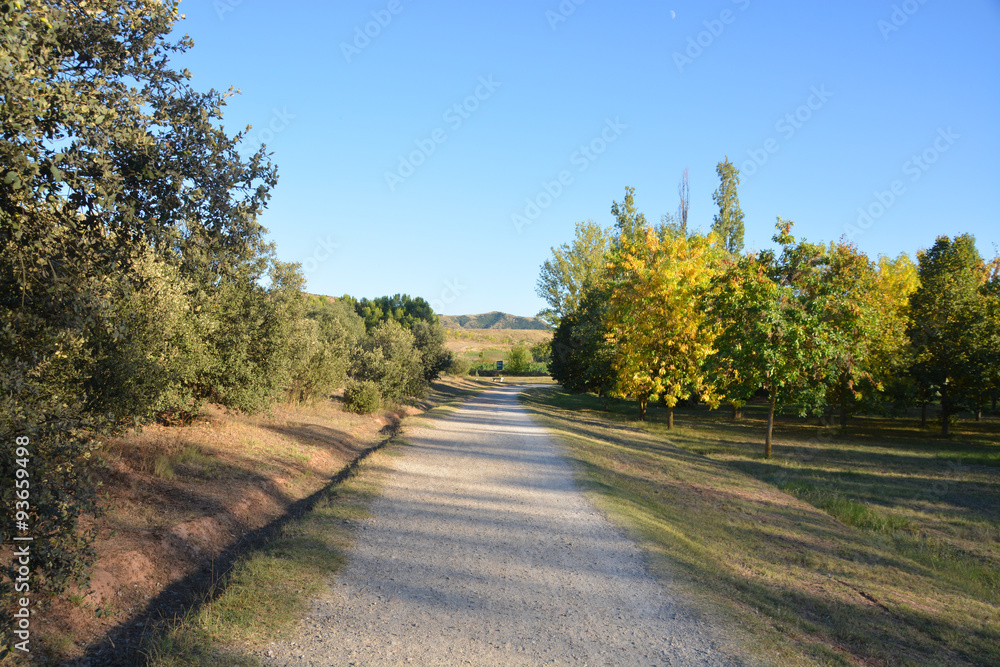 caminando por el campo en otoño