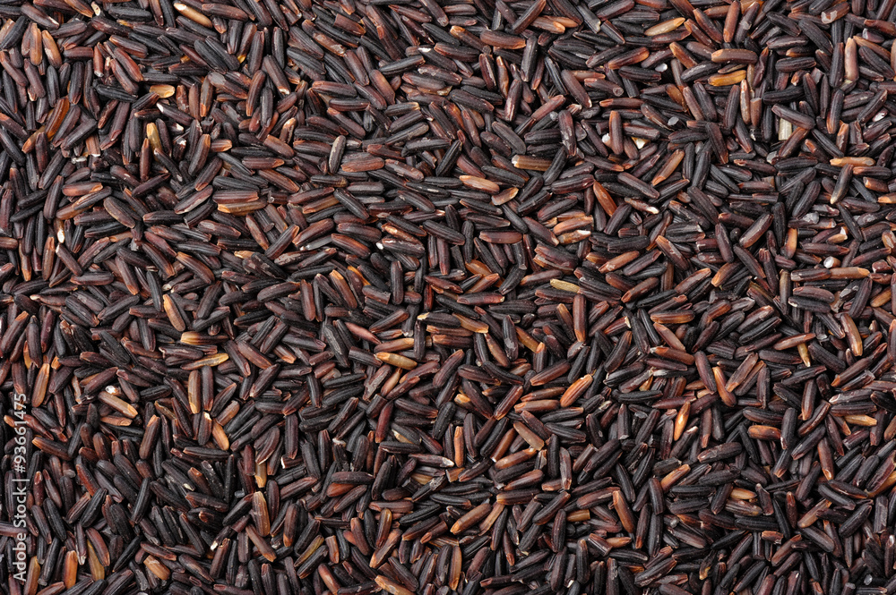 Rice Rice