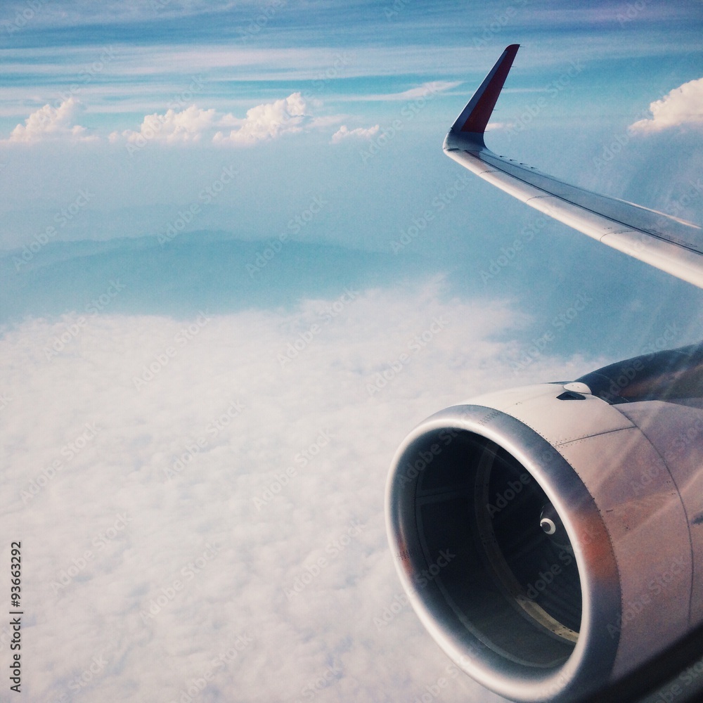 Fototapeta premium airplane in the sky