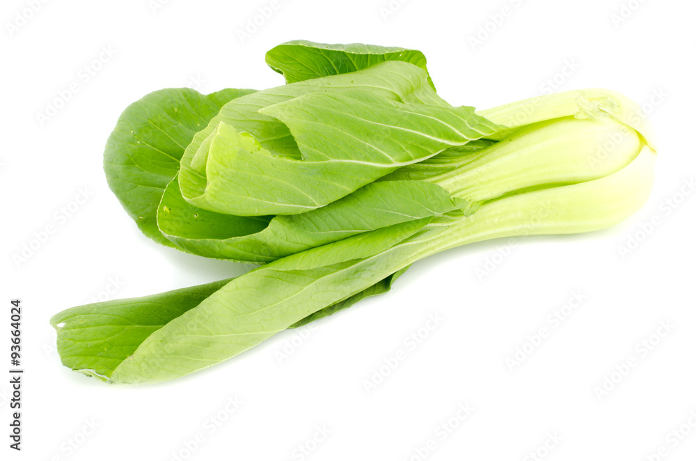 green raw Pak Choi ( Chinese Cabbage) isolated on white background green raw Pak Choi ( Chinese Cabbage) isolated on white background