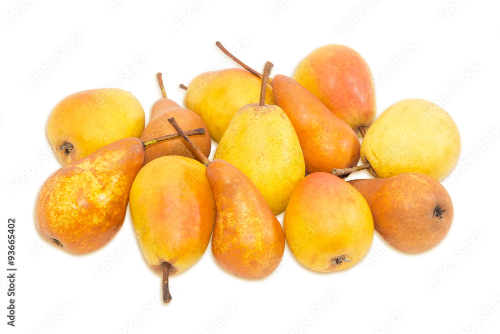 Pile of a Bosc pear and Duchess pear