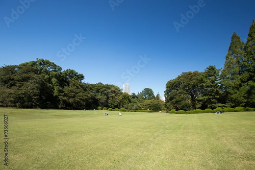 芝生と青空 © Yoshinori Okada