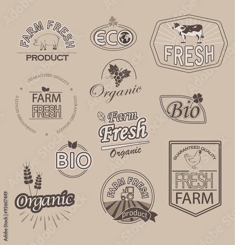 Set of badges and labels elements for organic fnd farm fresh food, vector.