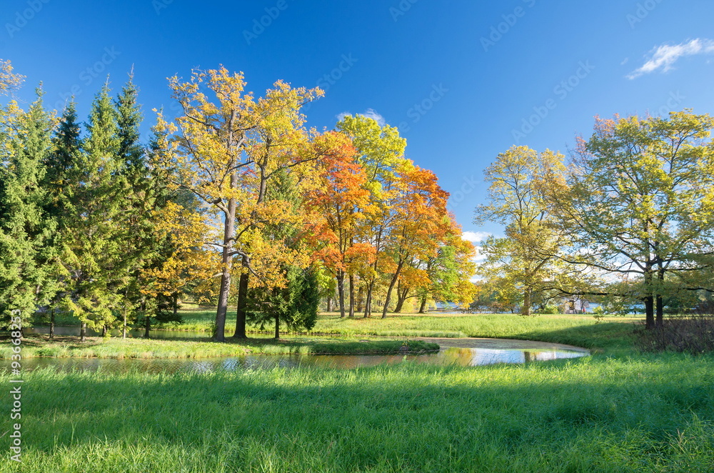 Naklejka premium Autumn colorful landscape in the Catherine park in Pushkin (Tsarskoe Selo), St.Petersburg, Russia.
