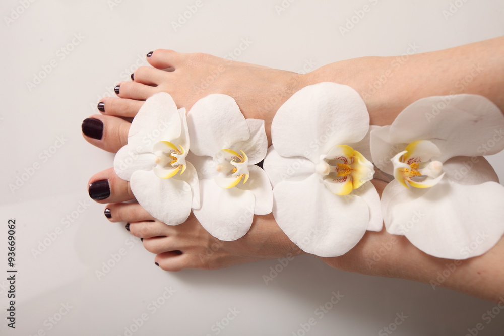 White orchid flowers female feet pedicure