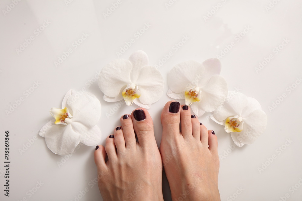 White orchid flowers female feet pedicure