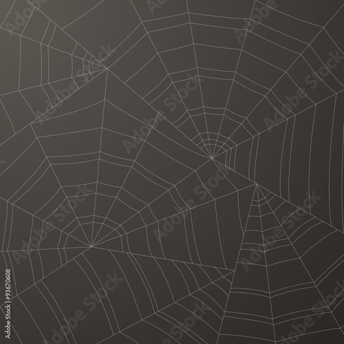 Spider web or cobweb vector background for halloween.