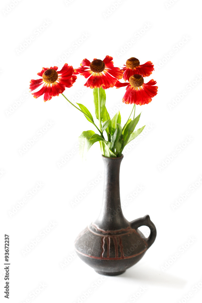 Fototapeta premium Red Flowers