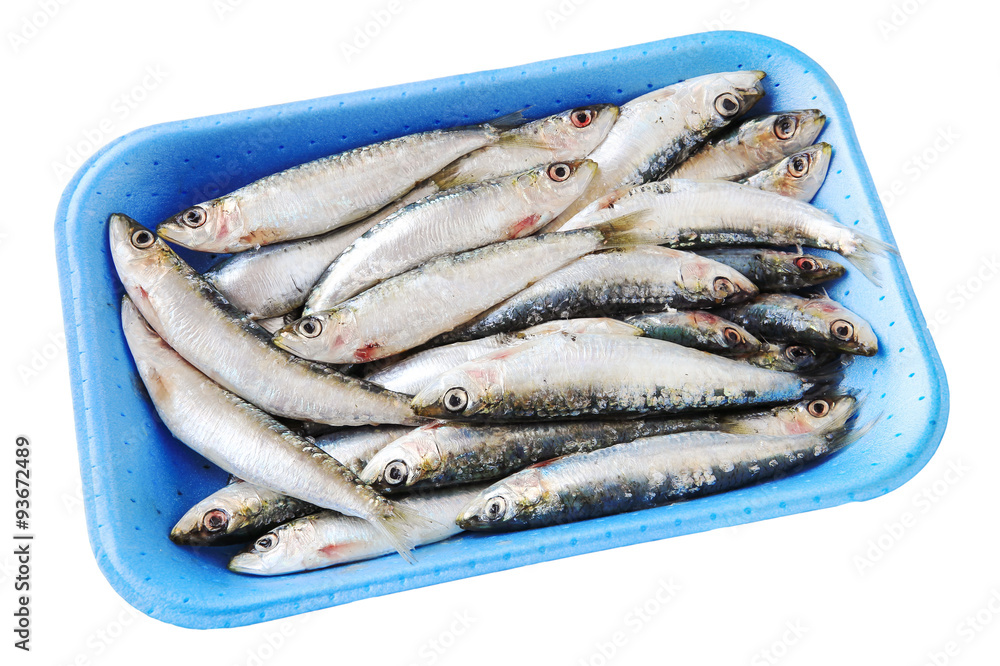 Fresh raw sardines in polystyrene box isolated on white Fresh raw sardines in polystyrene box isolated on white