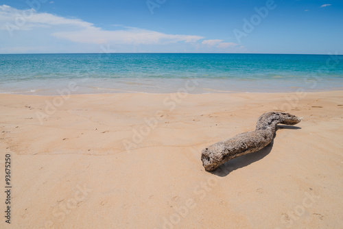 Log on beach in sunny day