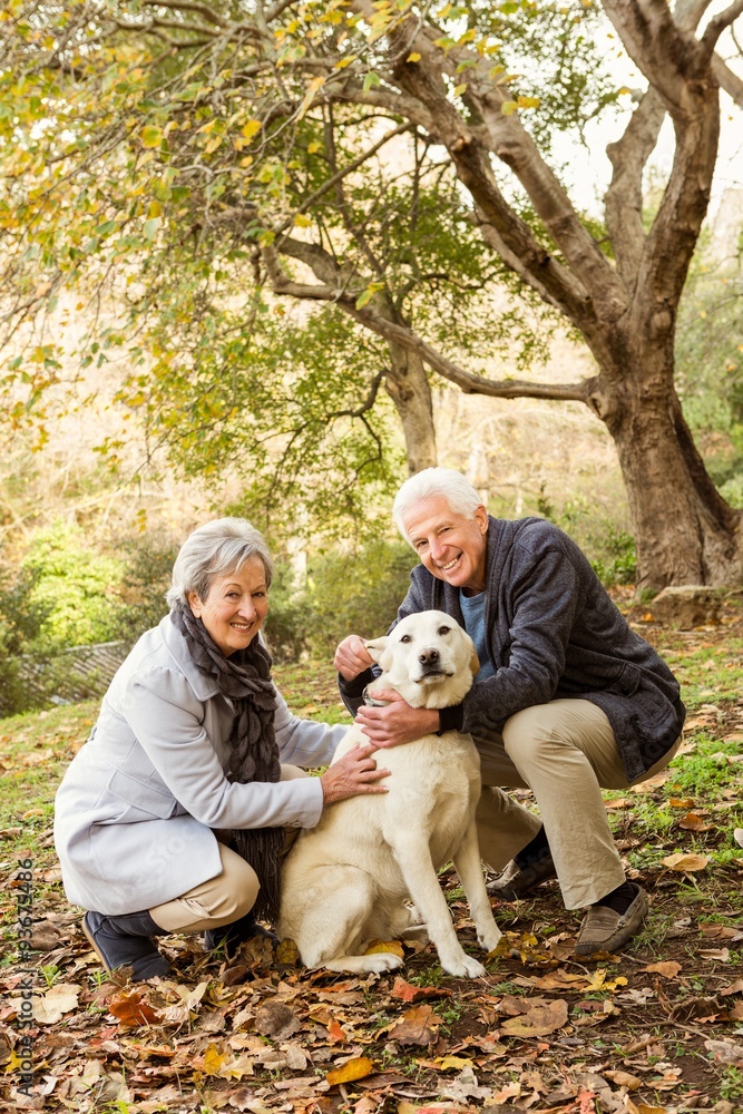 Fototapeta premium Senior couple in the park