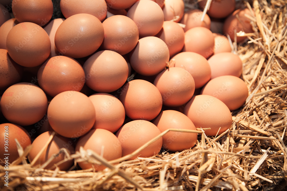 Fresh chicken eggs on straw Fresh chicken eggs on straw