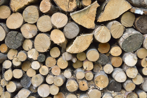 background surface still life of stacked fire place wood branches with autumn fall leaves