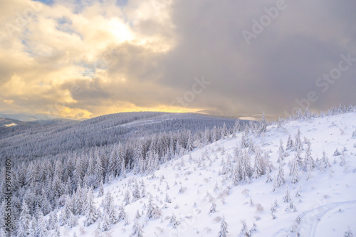 Winter landscape with frosted trees, snow and sunset in Czarna Góra