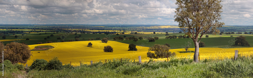 Rural farmlands panorama