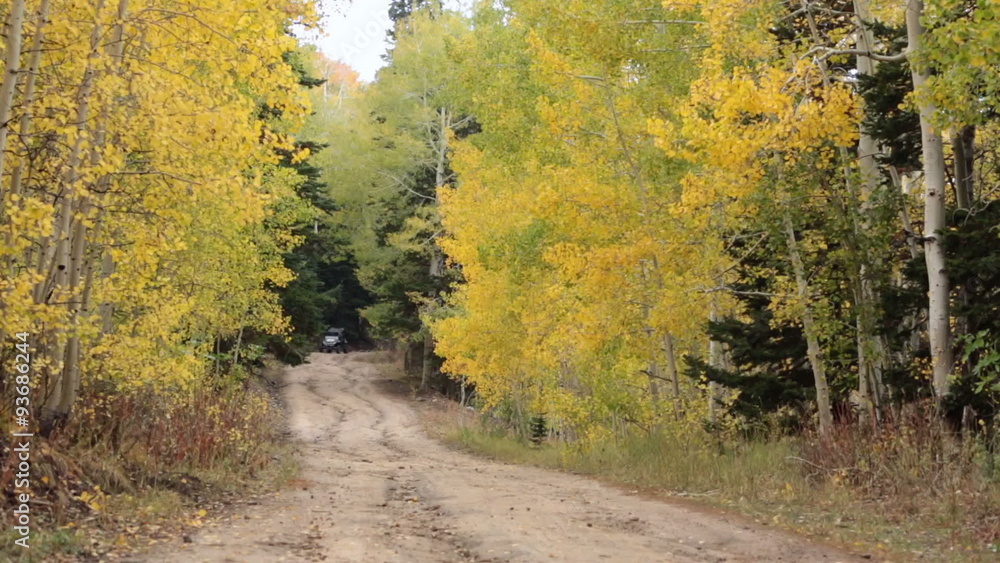 Sport recreation 4x4 ATV autumn golden mountain road HD 3342 Sport recreation 4x4 ATV autumn golden mountain road HD 3342