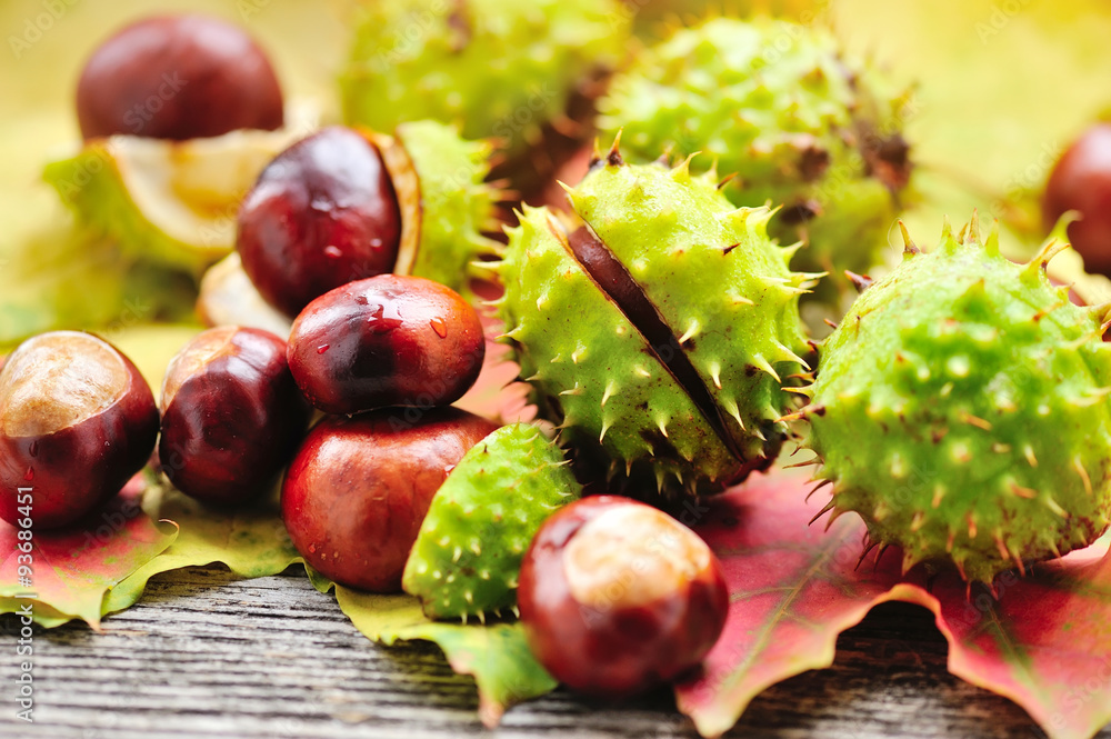 Fresh chestnuts with maple leaves on wooden background Fresh chestnuts with maple leaves on wooden background