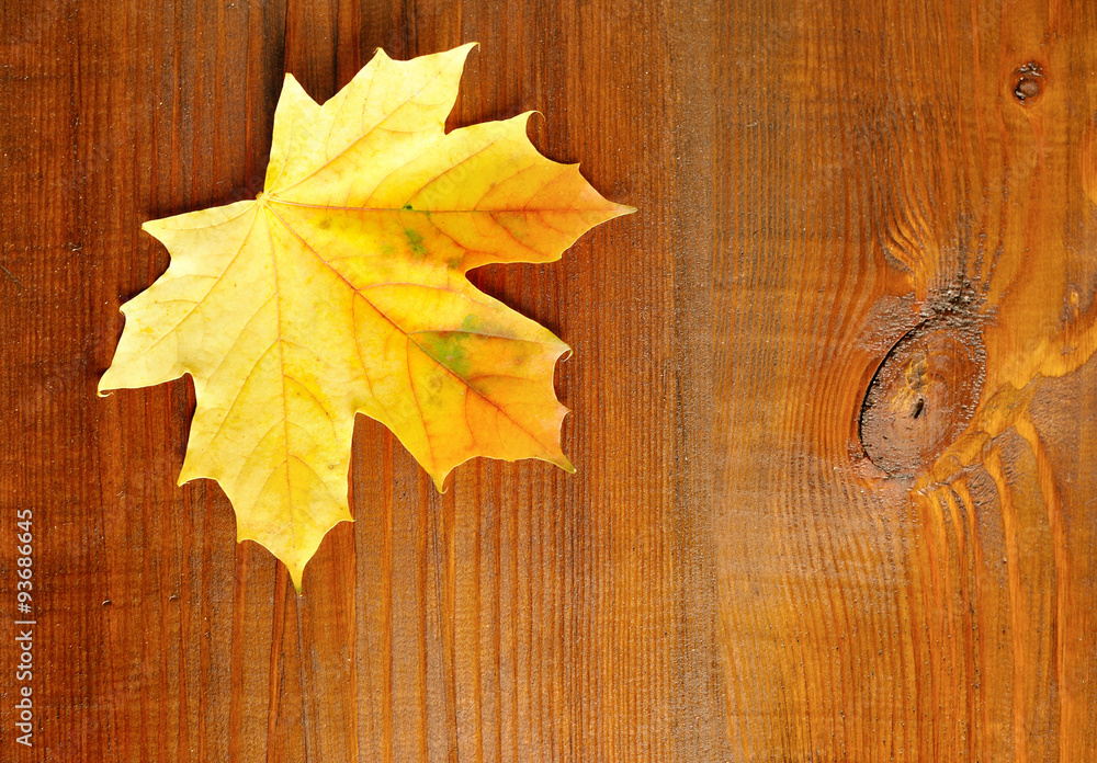 Autumn leaf over wooden background. With copy space