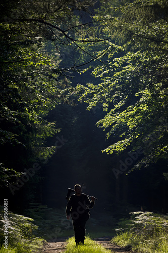 Man photographing in the forest