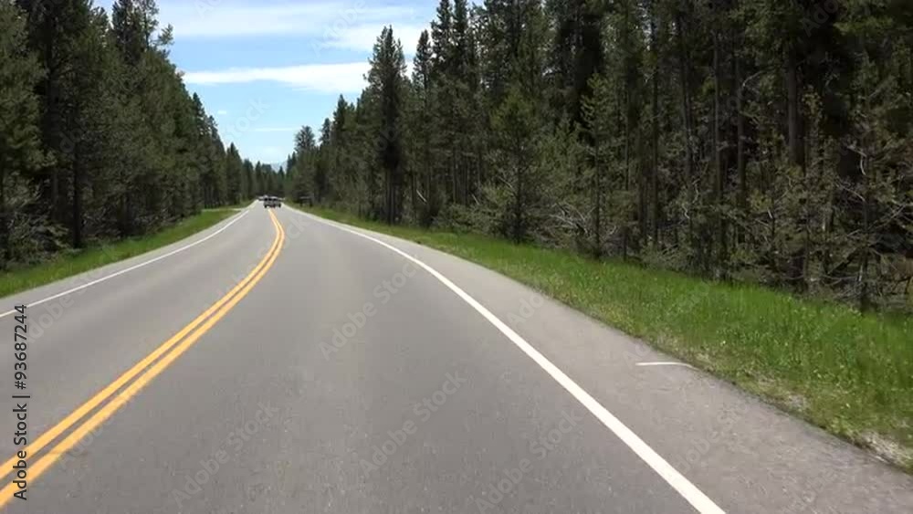 Drive POV Grand Teton National Park forest 4K Drive POV Grand Teton National Park forest 4K