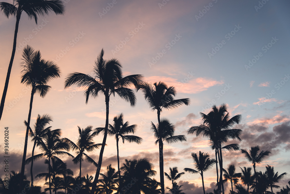 Obraz premium Pink sunset with silhouettes of palm trees