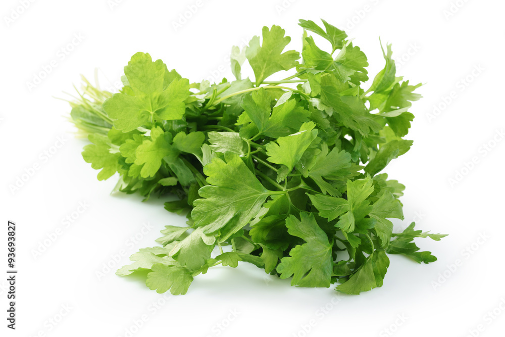bunch of fresh parsley isolated bunch of fresh parsley isolated