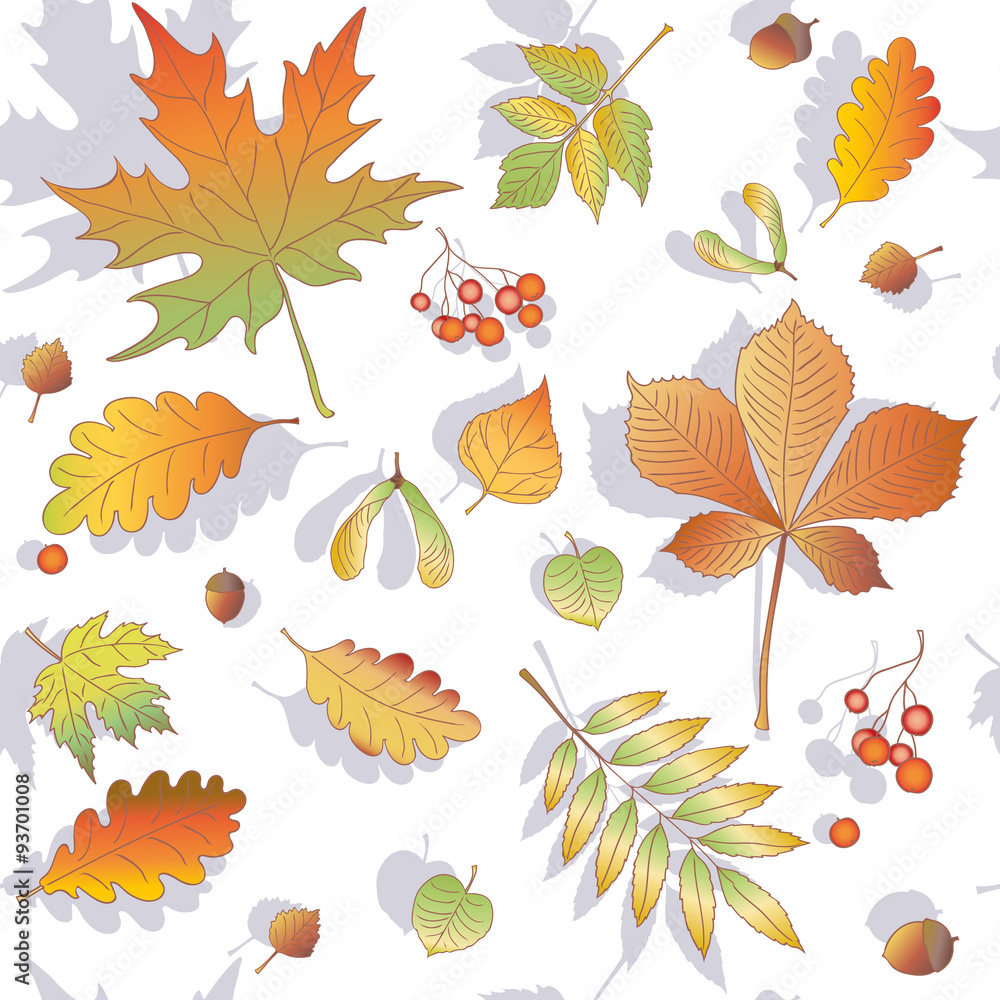 fall, tree leaves, pattern, acorns
