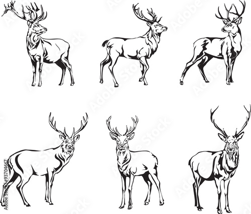 deer, deer figure, vector, illustration, black and white, silhouette