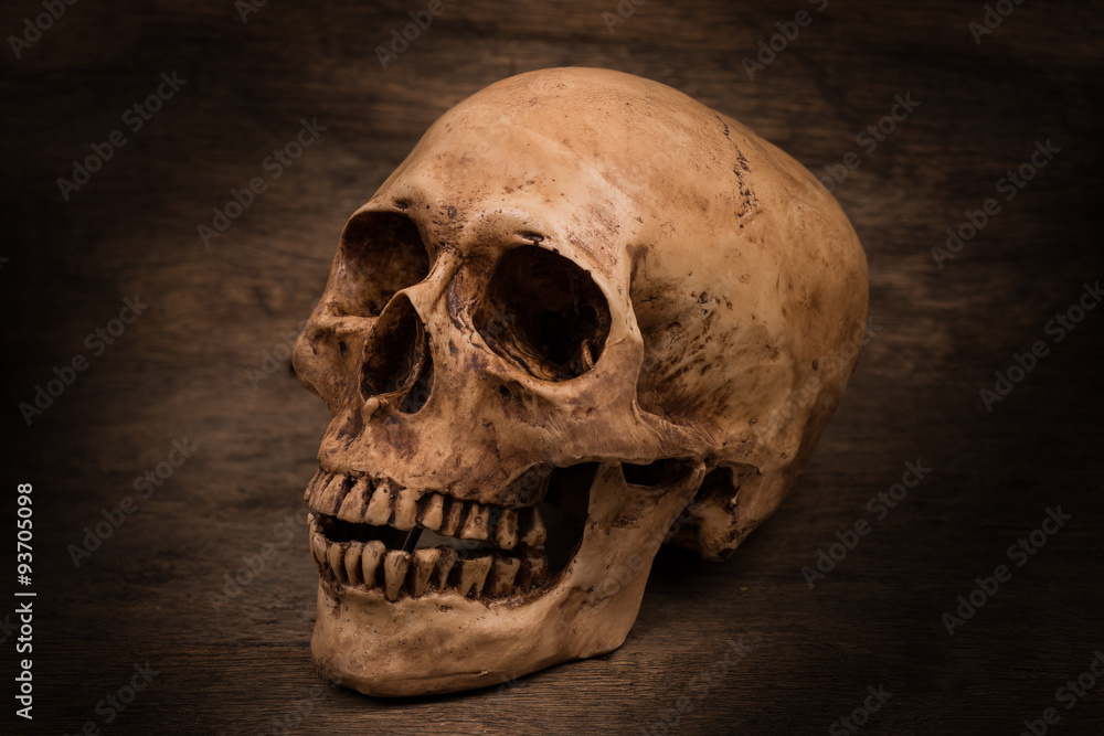 Naklejka premium Human skull