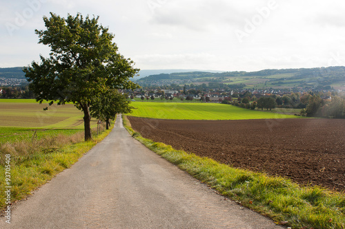 An agricultural landscape with a road and fields in Bad Pyrmont, Germany.