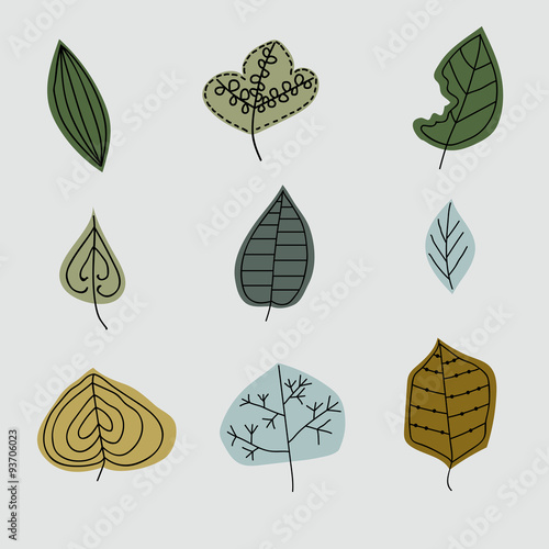 Leaves, background of different leaves
