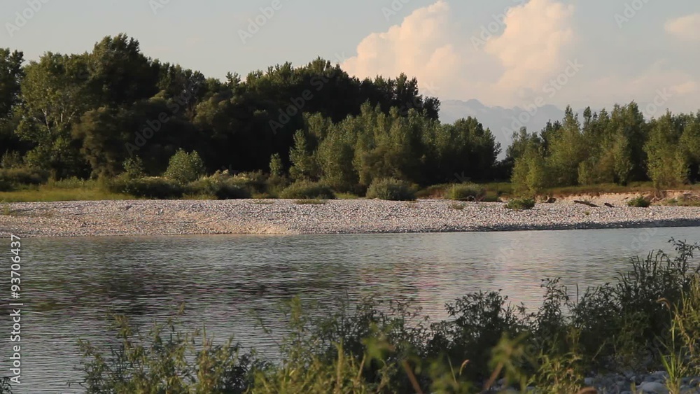 Quiet river in the summer with vegetation Quiet river in the summer with vegetation