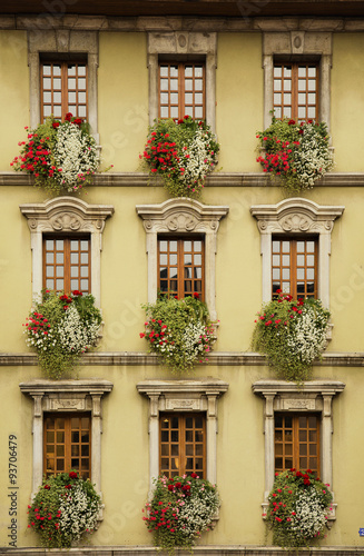 Flowered windows
