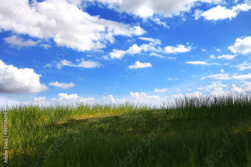 Grass field on blue sky and cloud background