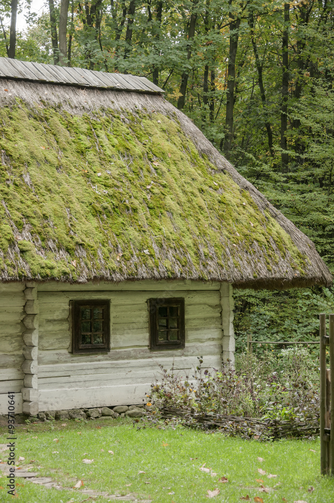 Old wooden house, white with a thatched roof covered with moss i
