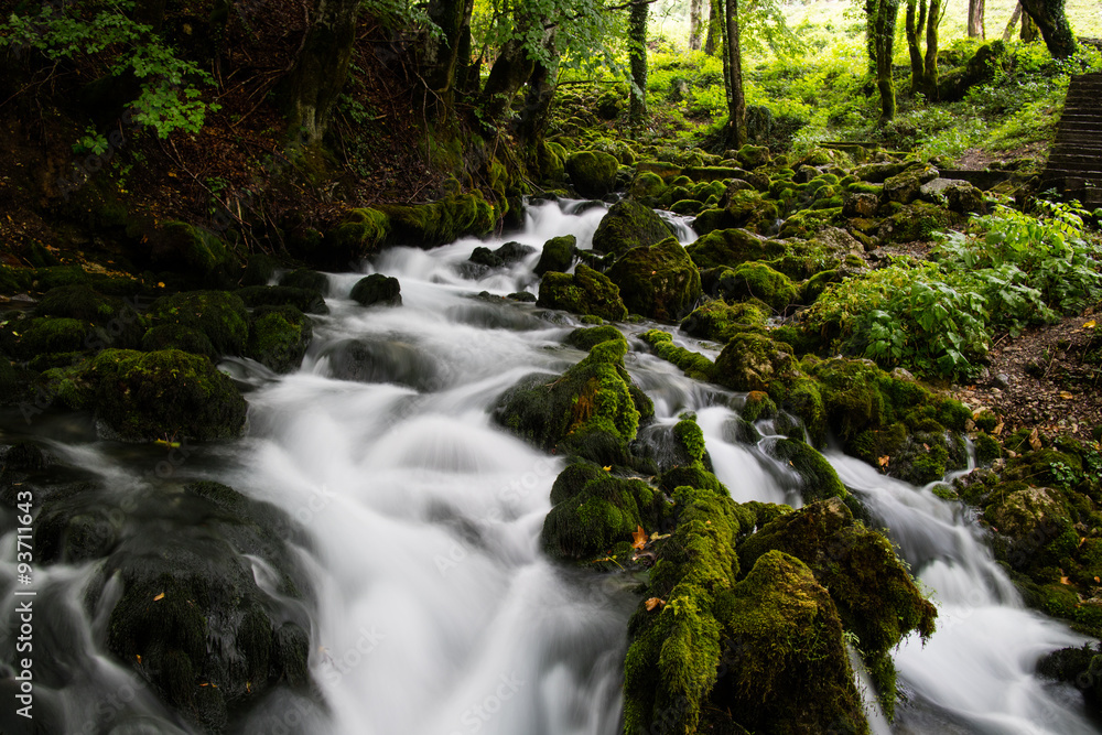 Obraz premium stream in the forest