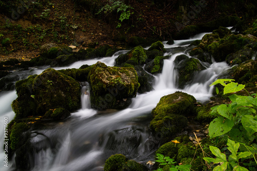 stream in the forest