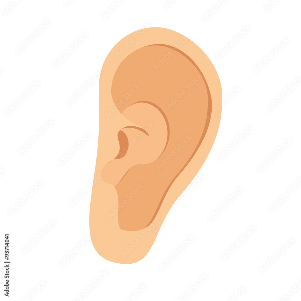 Ear vector Ear vector