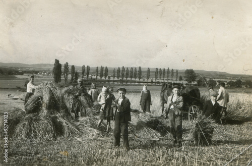 farmer harvest old photo