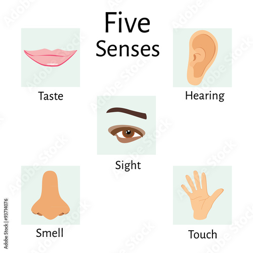 Five senses