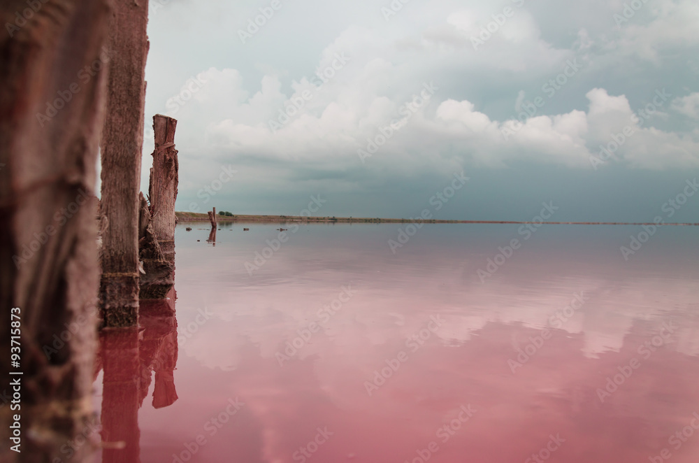 Storm clouds over the salty pink lake