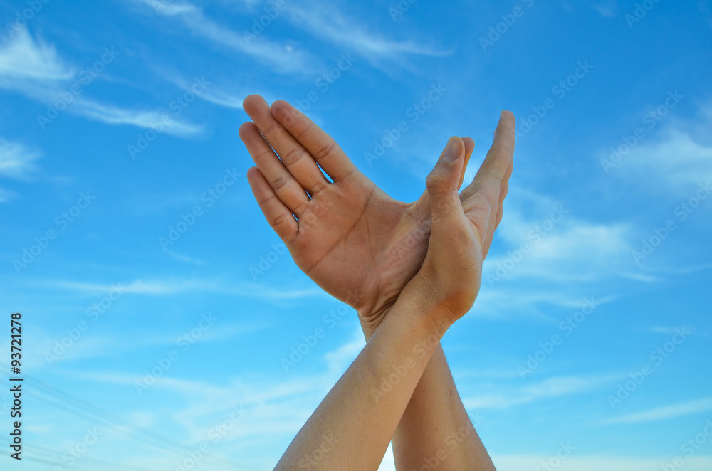 Conceptual hand gesture of Dove, world peace concept Conceptual hand gesture of Dove, world peace concept